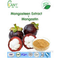 Fabrik liefert reine natürliche Pflanzenextrakte Mangostan-Extrakt